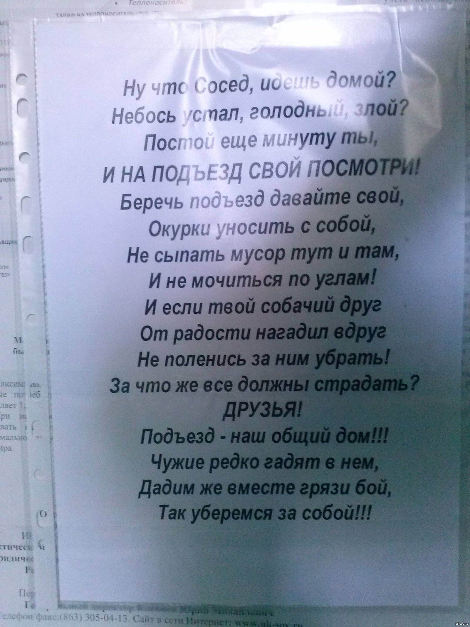 Как отучить кошек гадить в подъезде