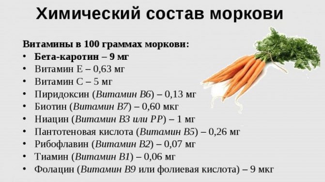 Морковь - что это за растение, сколько весит, из чего состоит - все о моркови